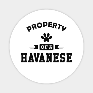 Havanese Dog - Property of a havanese Magnet